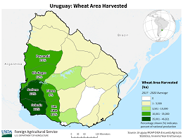 images\UY\cropprod\Uruguay_Wheat_preview.png